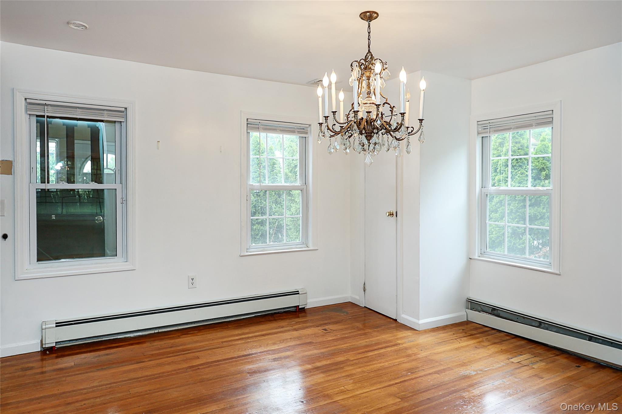 49 Red Ground Road Roslyn Heights, NY 11577 - Photo 9 of 36
