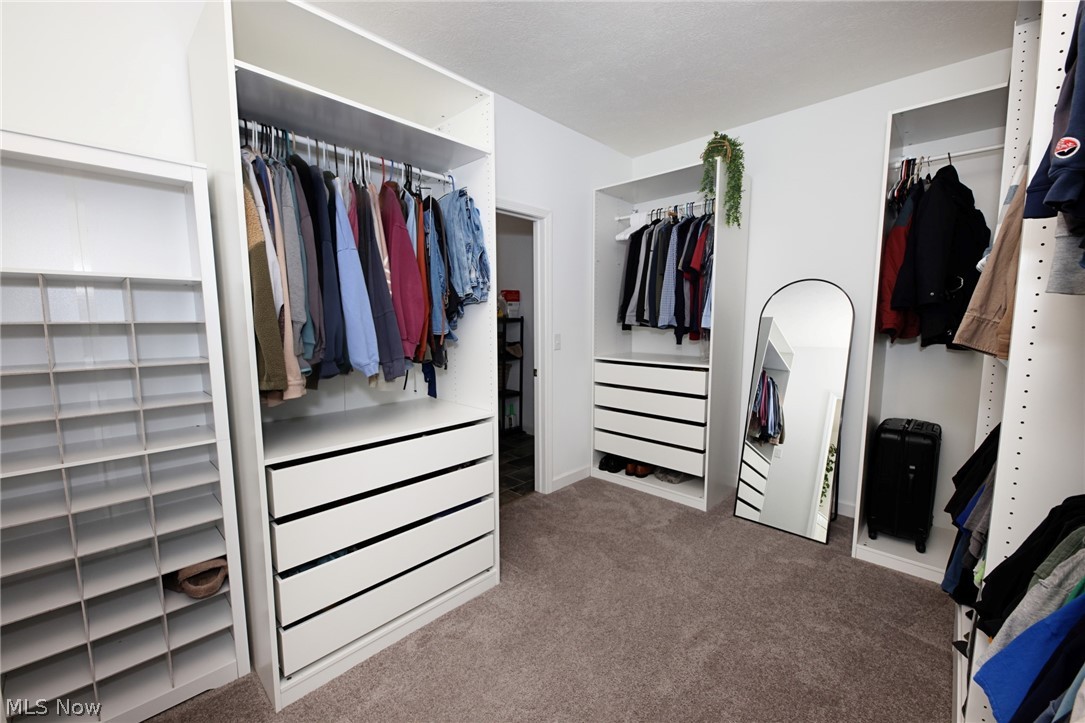 258 Friendly Acres Road Wellsburg, WV 26070 - Photo 13 of 47 Primary bedroom Walk in closet with carpet