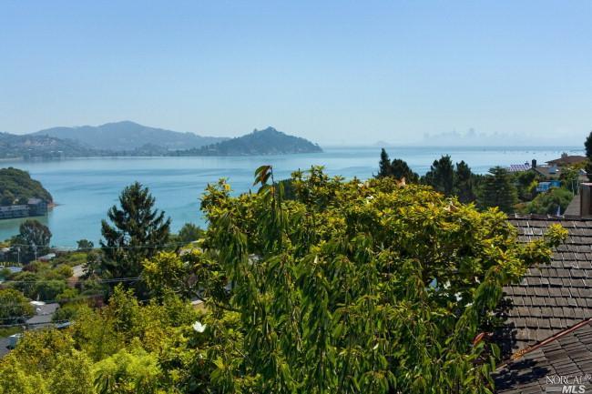 134 Reed Boulevard Mill Valley, CA 94941 - Photo 1 of 1 a view of a lake with a city