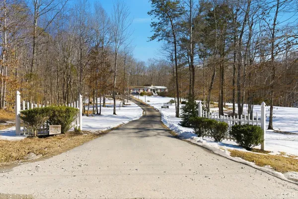 a view of a park with tree s