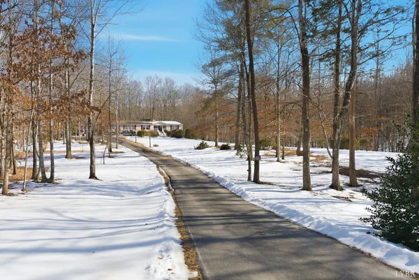 a park view with large trees