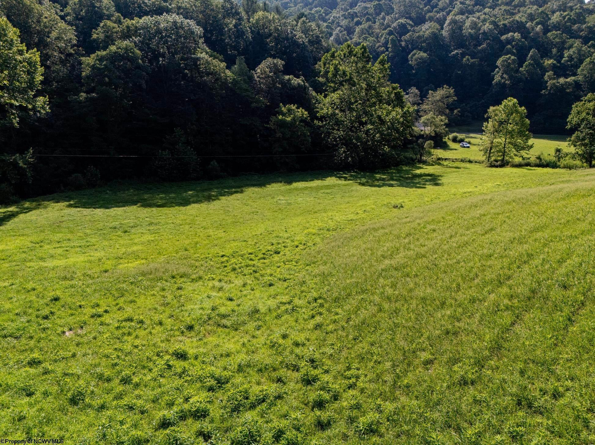 431 Big Elk Road Wallace, WV 26448 - Photo 8 of 26 Gallery Image 8
