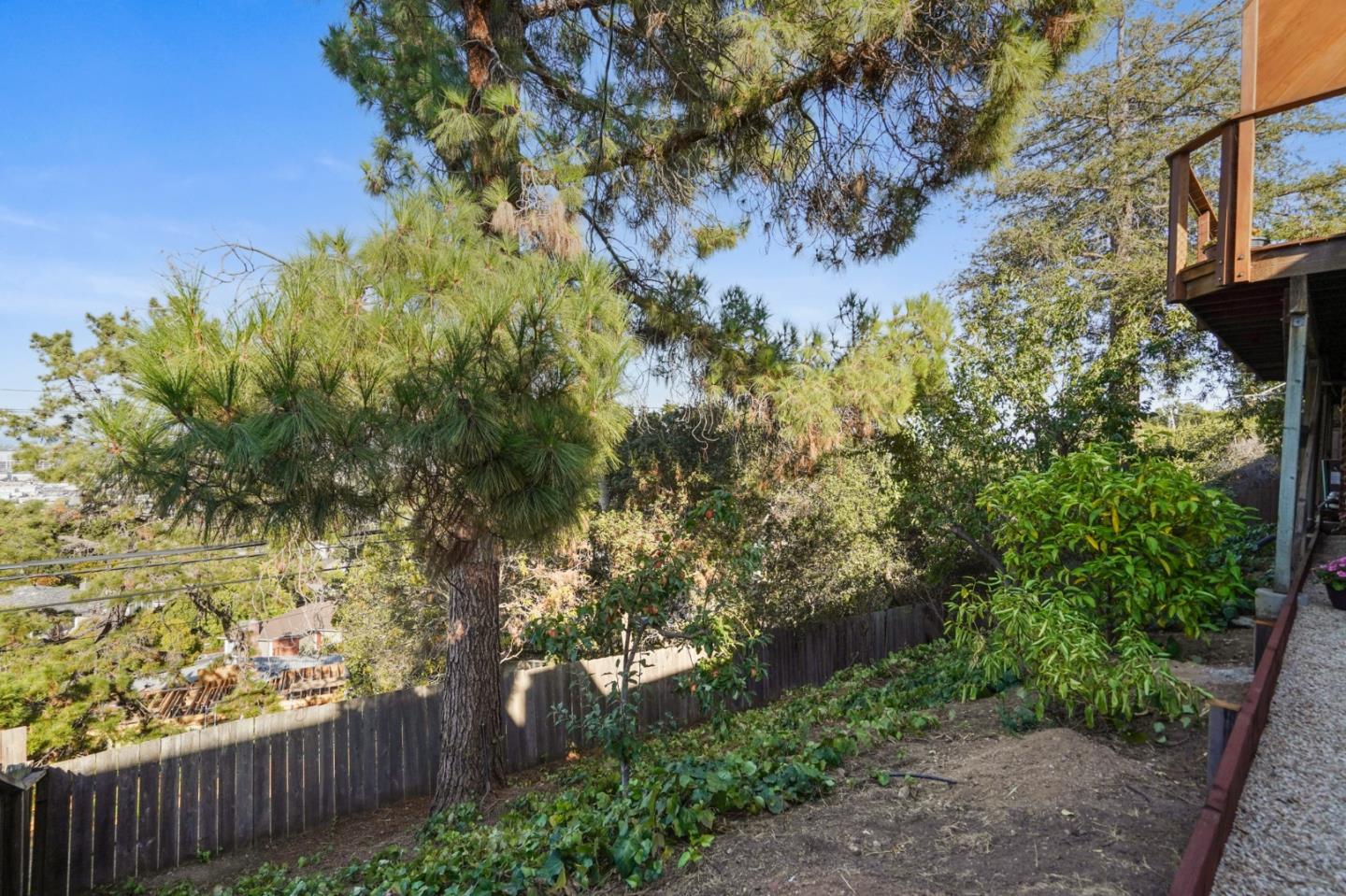 22 Del Rey Court San Carlos, CA 94070 - Photo 44 of 47 a backyard of a house with lots of green space