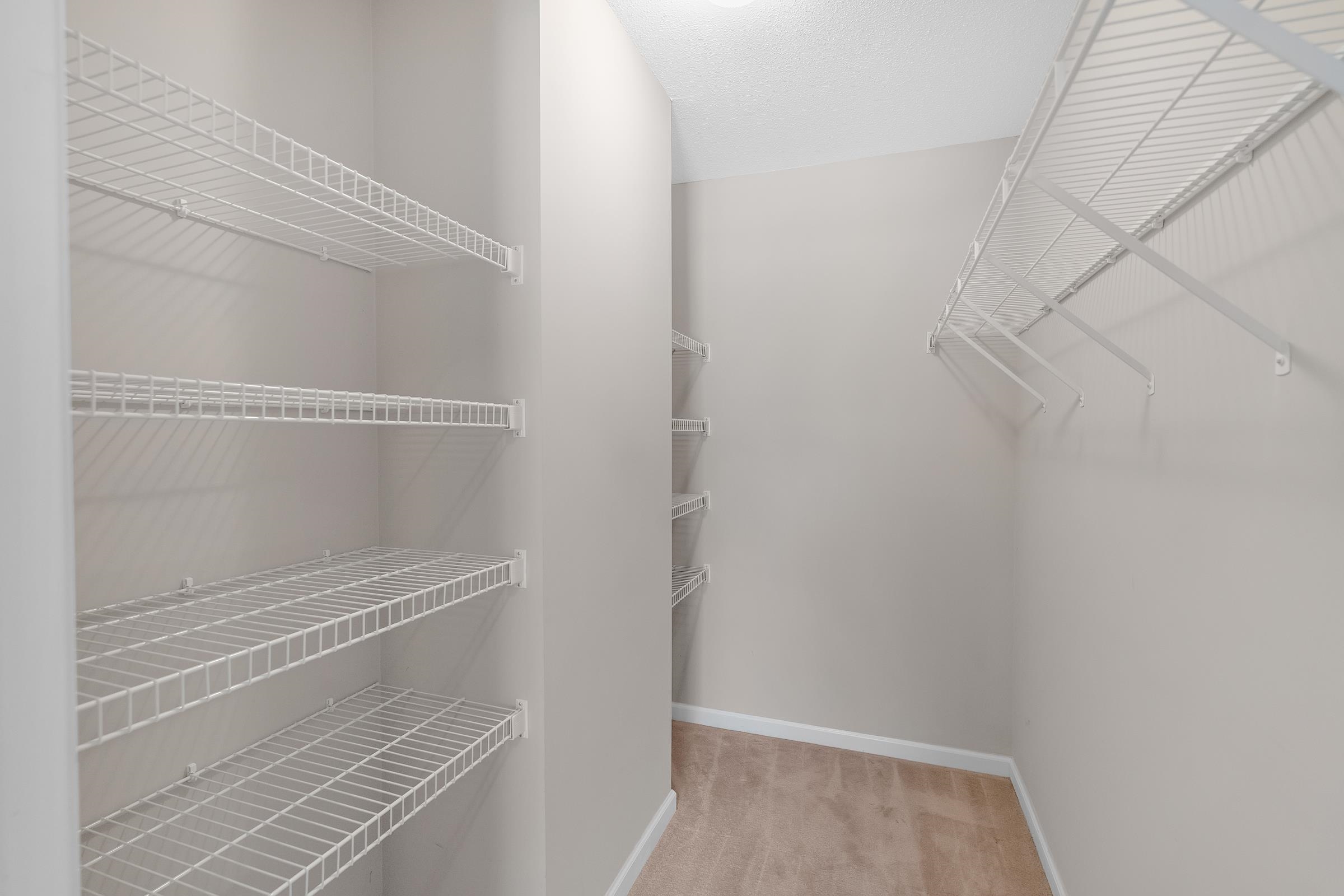 1229 North Sanga Road Memphis, TN 38016 - Photo 19 of 32 Walk in closet with light colored carpet