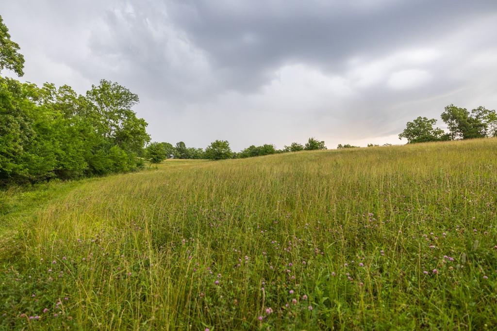 13277 Norris Road Rayville, MO 64084 - Photo 23 of 55