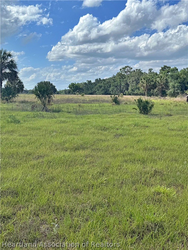 Colin Poucher Road Zolfo Springs, FL 33890 - Photo 3 of 6 a view of a lake with a big yard