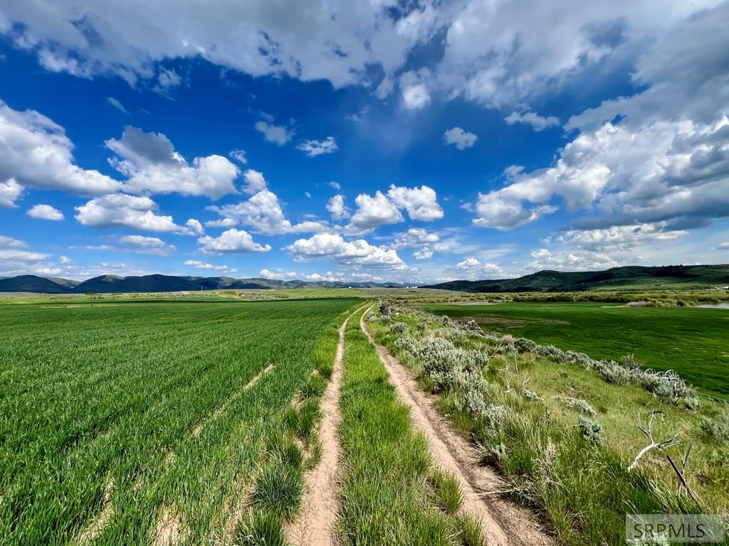 Tbd Bailey Creek Road Soda Springs, ID 83276 - Photo 45 of 59