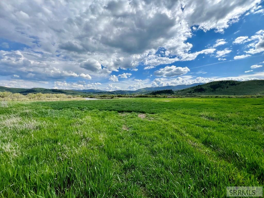 Tbd Bailey Creek Road Soda Springs, ID 83276 - Photo 48 of 59