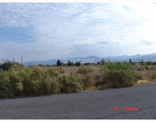 1450 East Casey Road Pahrump, NV 89048 - Photo 2 of 3 Land/Lot.