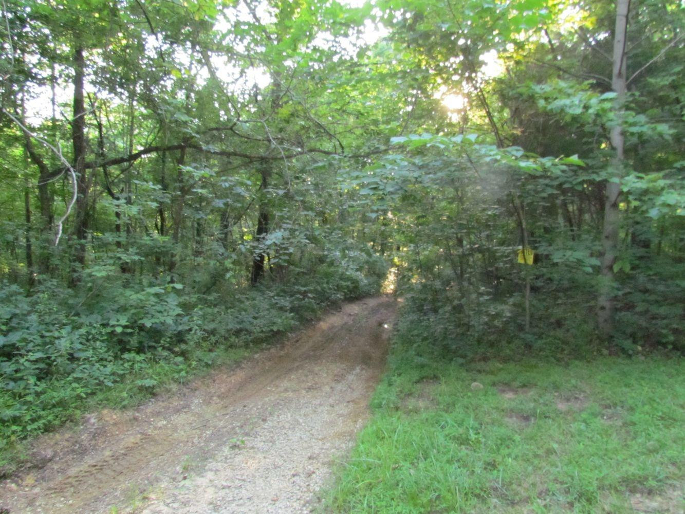 0 Buzzard Rock Road McKee, KY 40447 - Photo 2 of 15 Photo 2