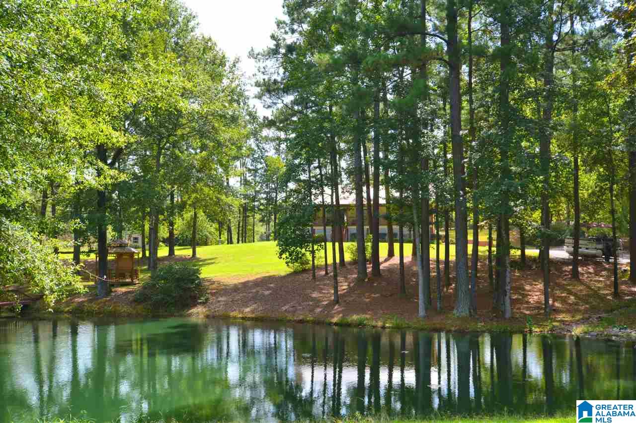 2086 Salem Road Montevallo, AL 35115 - Photo 8 of 47