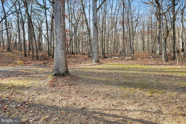 $390,000 | 23851 Squirrel Ridge Drive, Rawlings, MD 21557