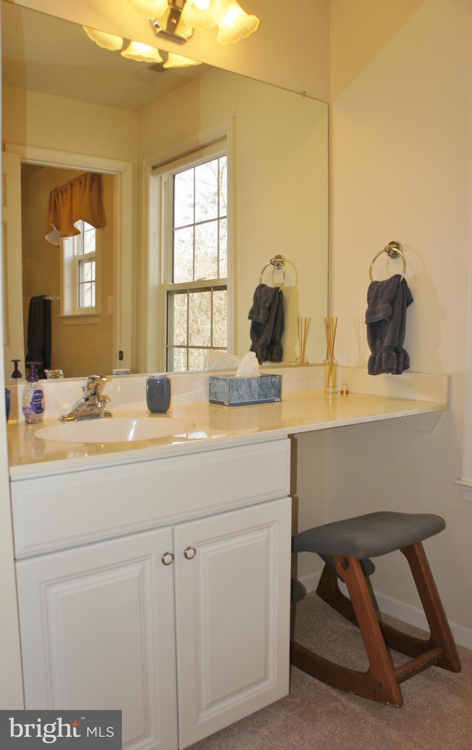 4614 Green Ridge Court Huntingtown, MD 20639 - Photo 18 of 30 Master Bath makeup vanity-sink!