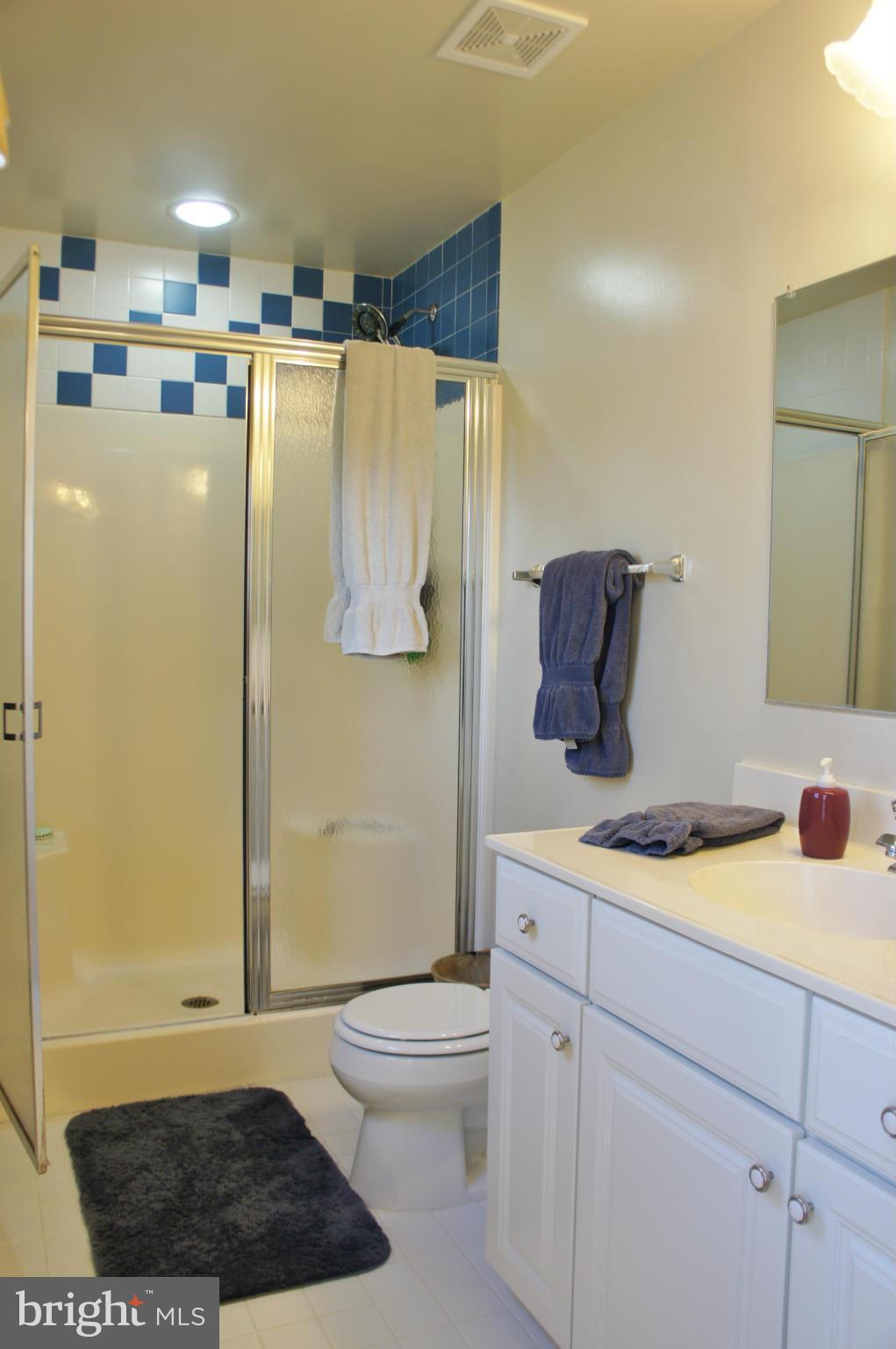 4614 Green Ridge Court Huntingtown, MD 20639 - Photo 19 of 30 Double seats in shower- ceramic tile accents!