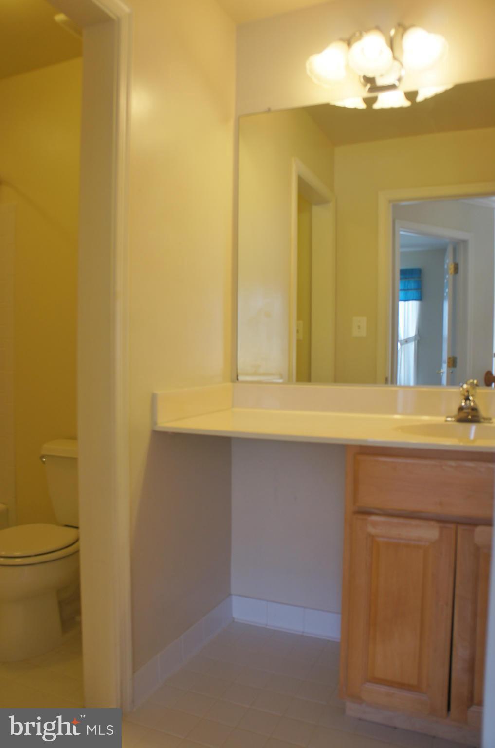 4614 Green Ridge Court Huntingtown, MD 20639 - Photo 23 of 30 Hall Bath vanity - door leads to toilet