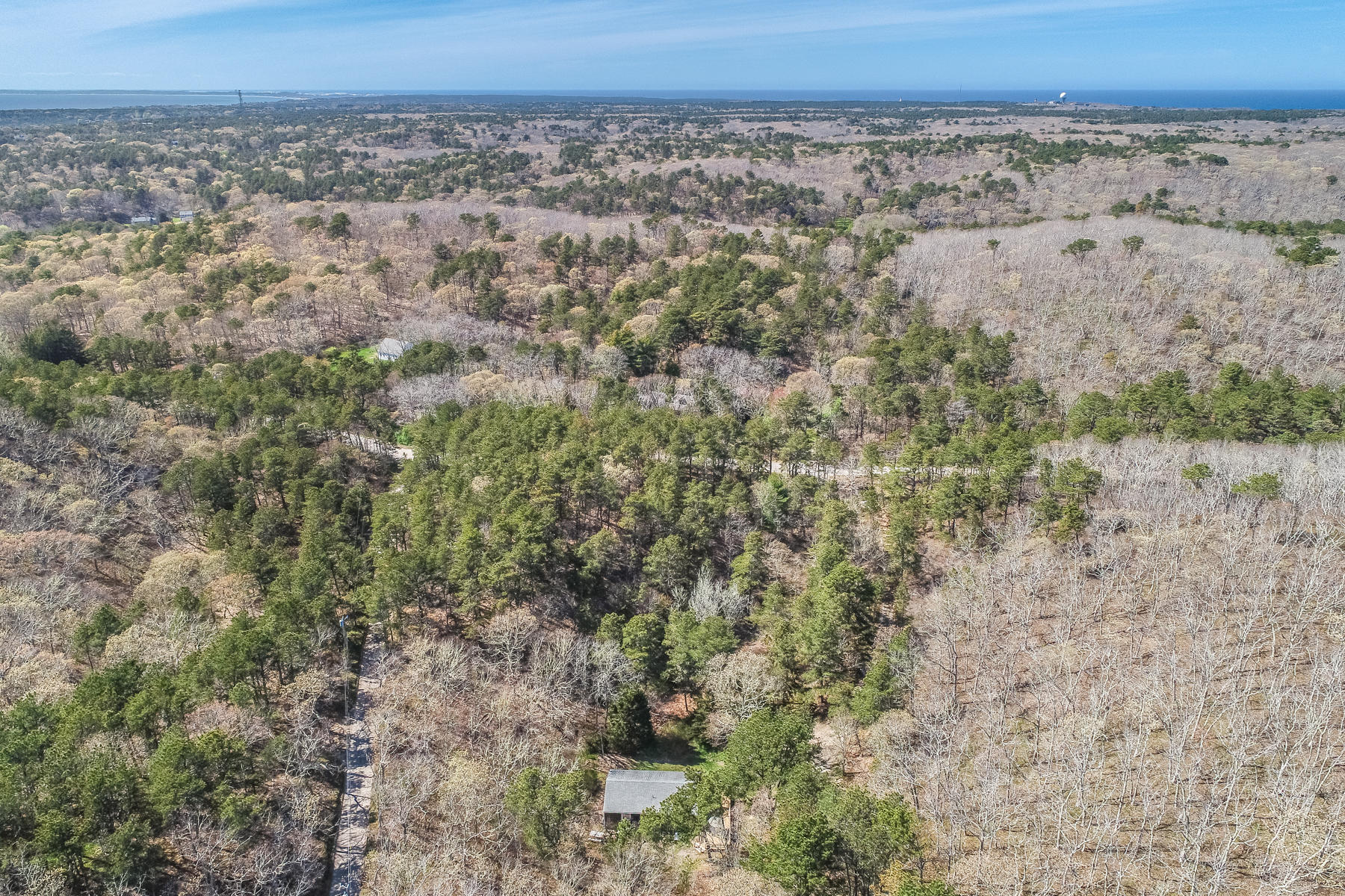 35 Higgins Hollow Road Truro, MA 02666 - Photo 18 of 20 a view of a dry yard with trees