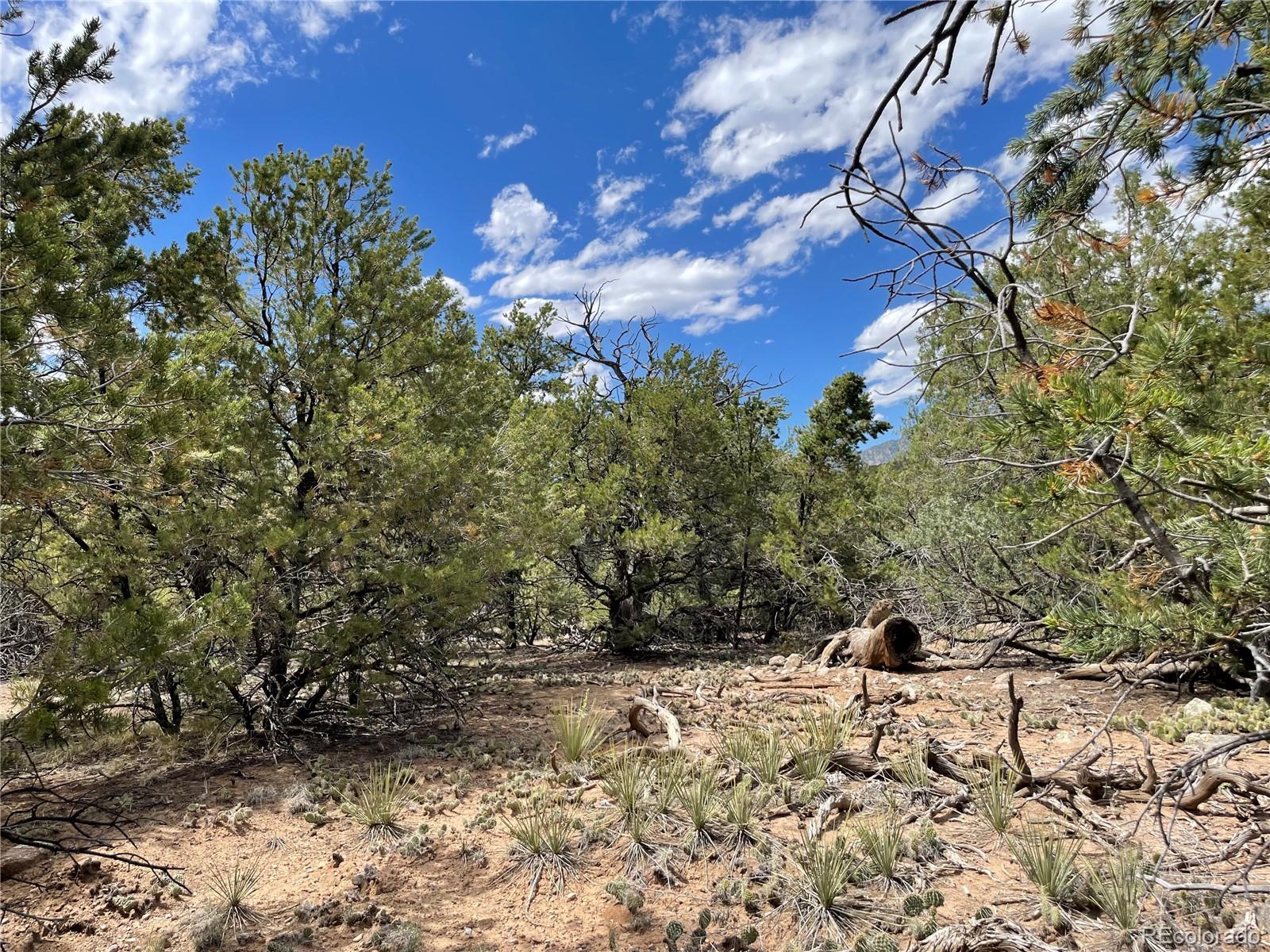 4286 Fallen Tree Crestone, CO 81131 - Photo 3 of 12
