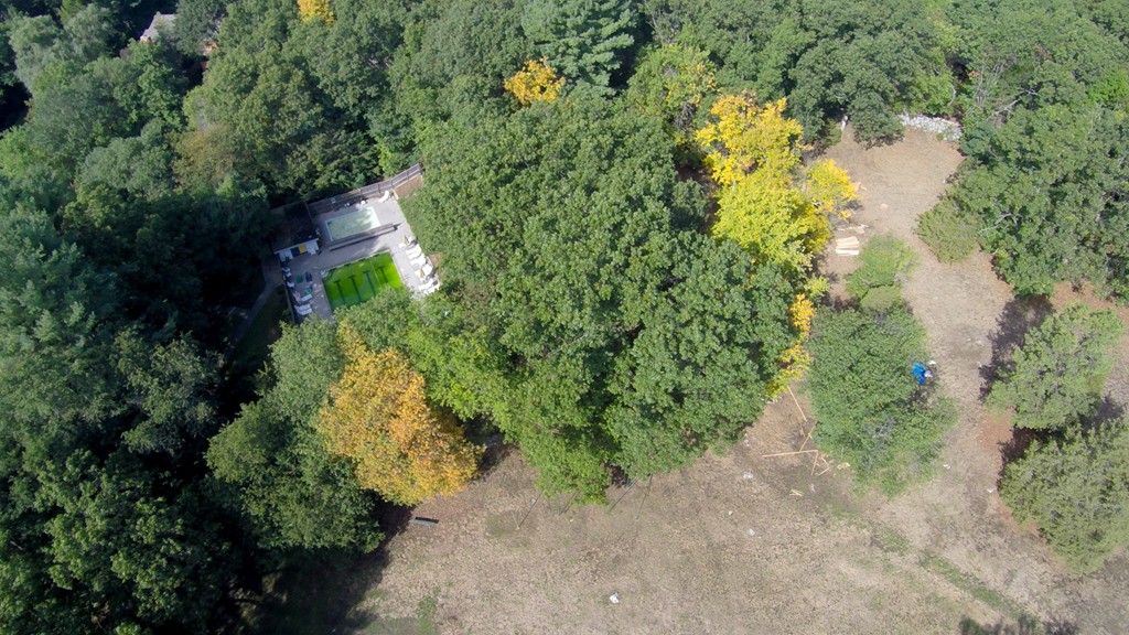 2 Barberry Road Lexington, MA 02421 - Photo 21 of 21 a picture of trees