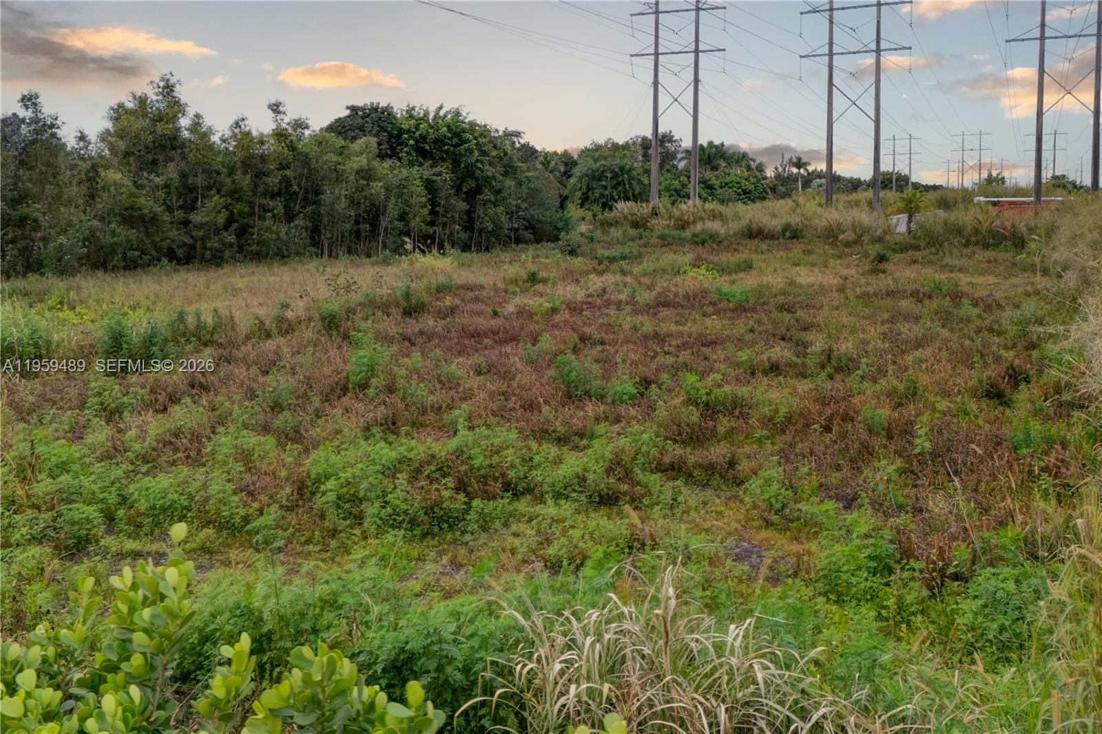0 Southwest 185th Way Southwest Ranches, FL 33332 - Photo 3 of 6