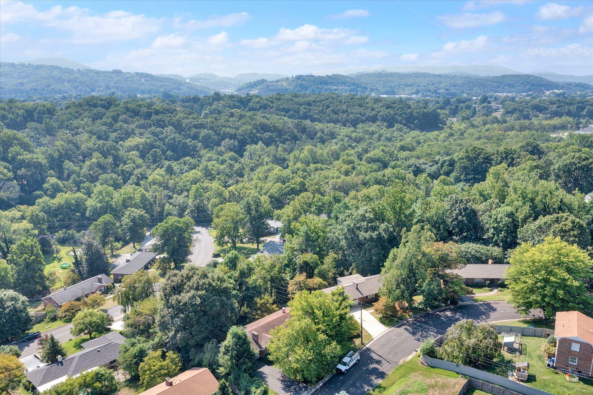 2501 Sprucewood Road Southwest Roanoke, VA 24015 - Photo 41 of 46 42-DJI_0019
