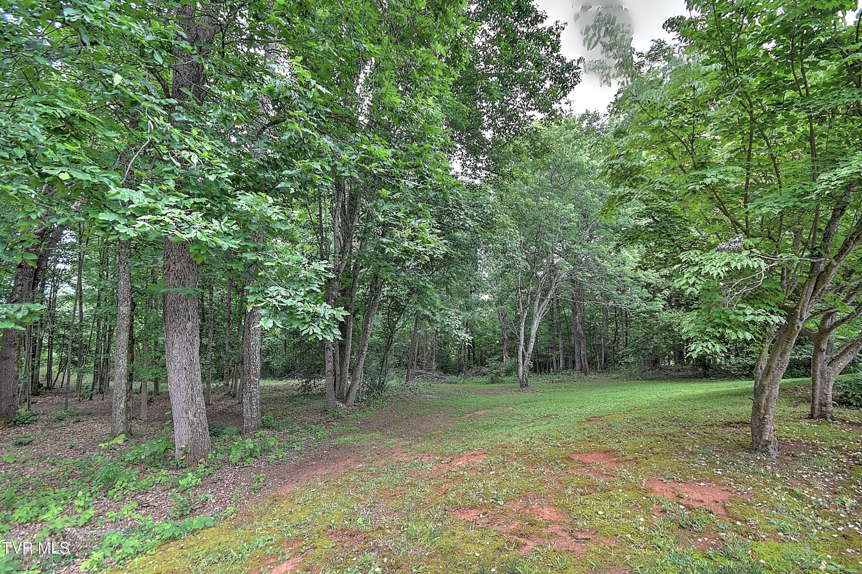 145 Zeb Grindstaff Road Elizabethton, TN 37643 - Photo 51 of 68 145 Zeb Grindstaff JV-55