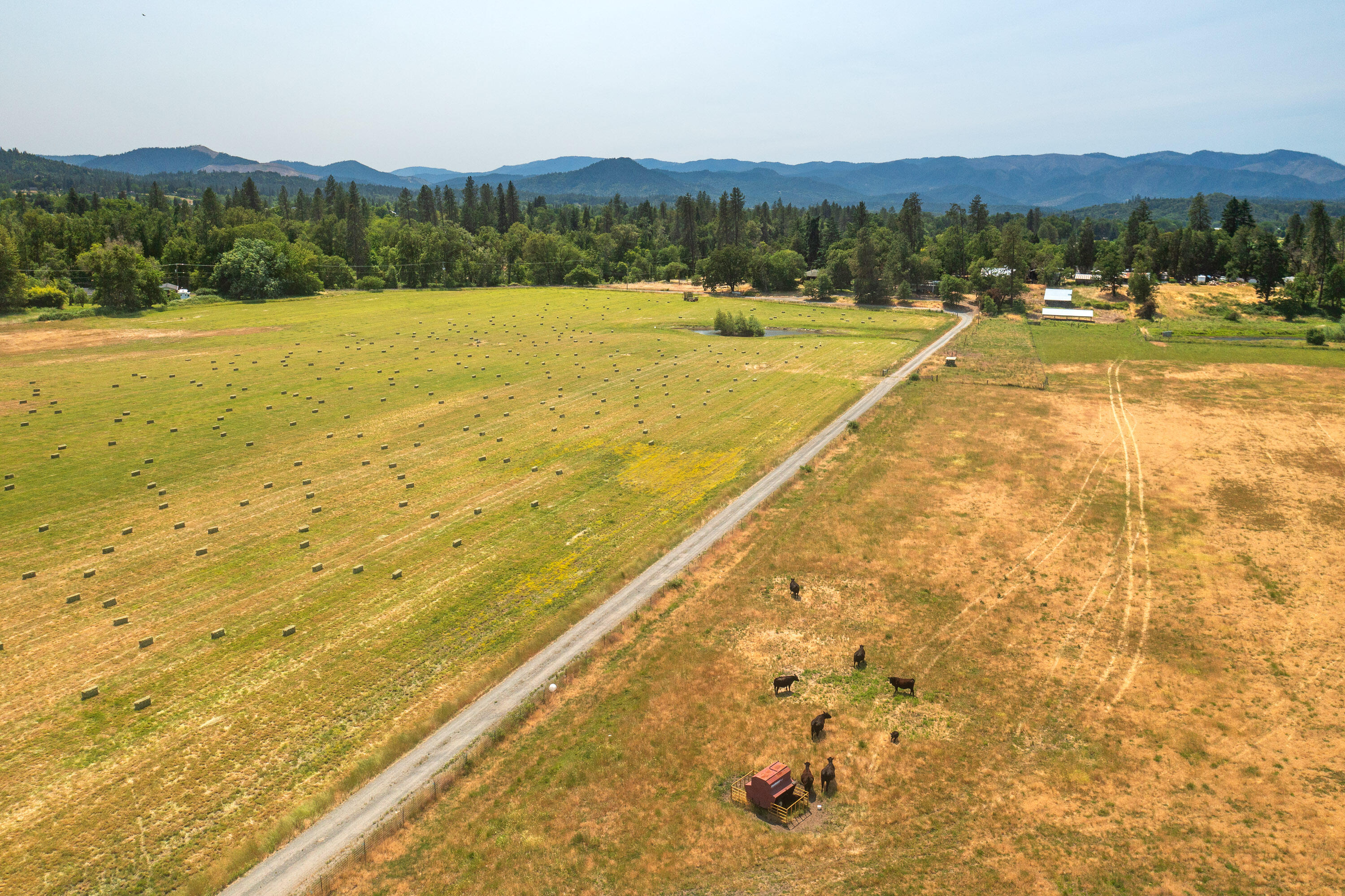 3290 Lower River Road Grants Pass, OR 97526 - Photo 30 of 38 LRR (29)