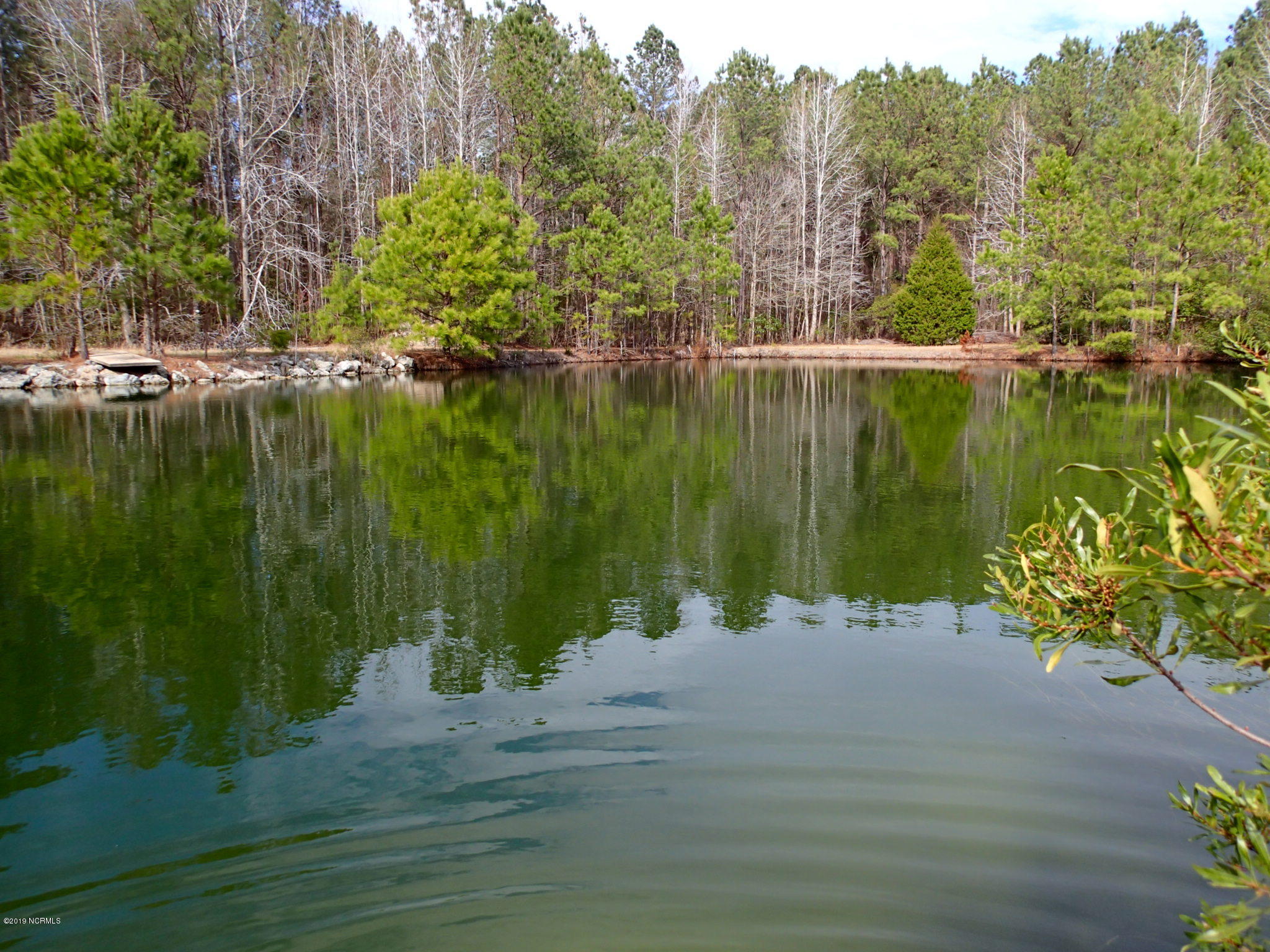 1639 Florence Road Merritt, NC 28556 - Photo 4 of 10 Large man-made pond