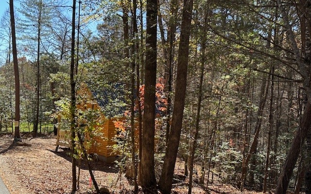 100 Bentley Cove Murphy, NC 28906 - Photo 4 of 12 Additional View