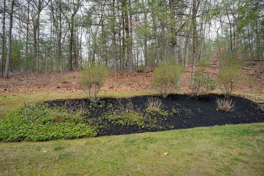 98 Maynard Farm Road Sudbury, MA 01776 - Photo 37 of 37 Gallery Image 37
