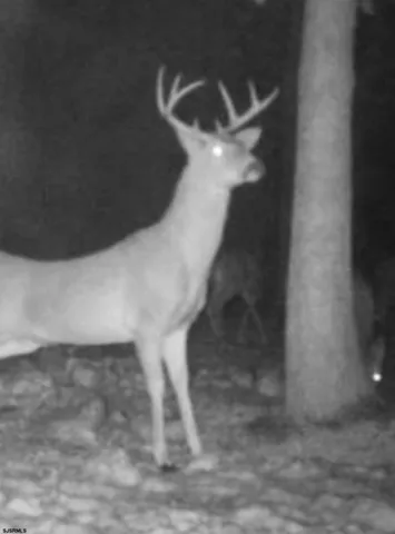 a black and white photo of a painting