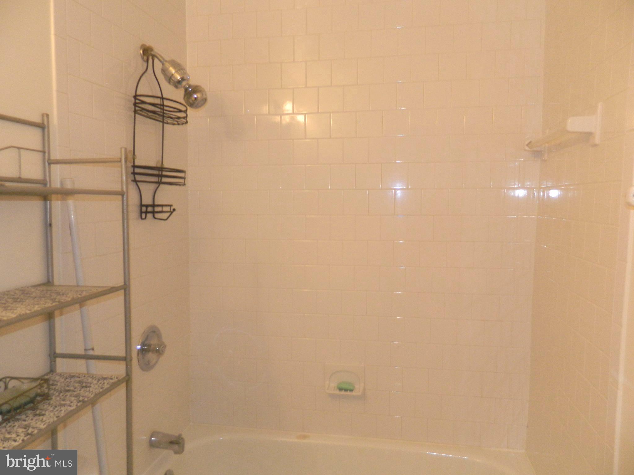 17 Theo Lane, Unit 17 Towson, MD 21204 - Photo 37 of 54 a bathroom with a shower