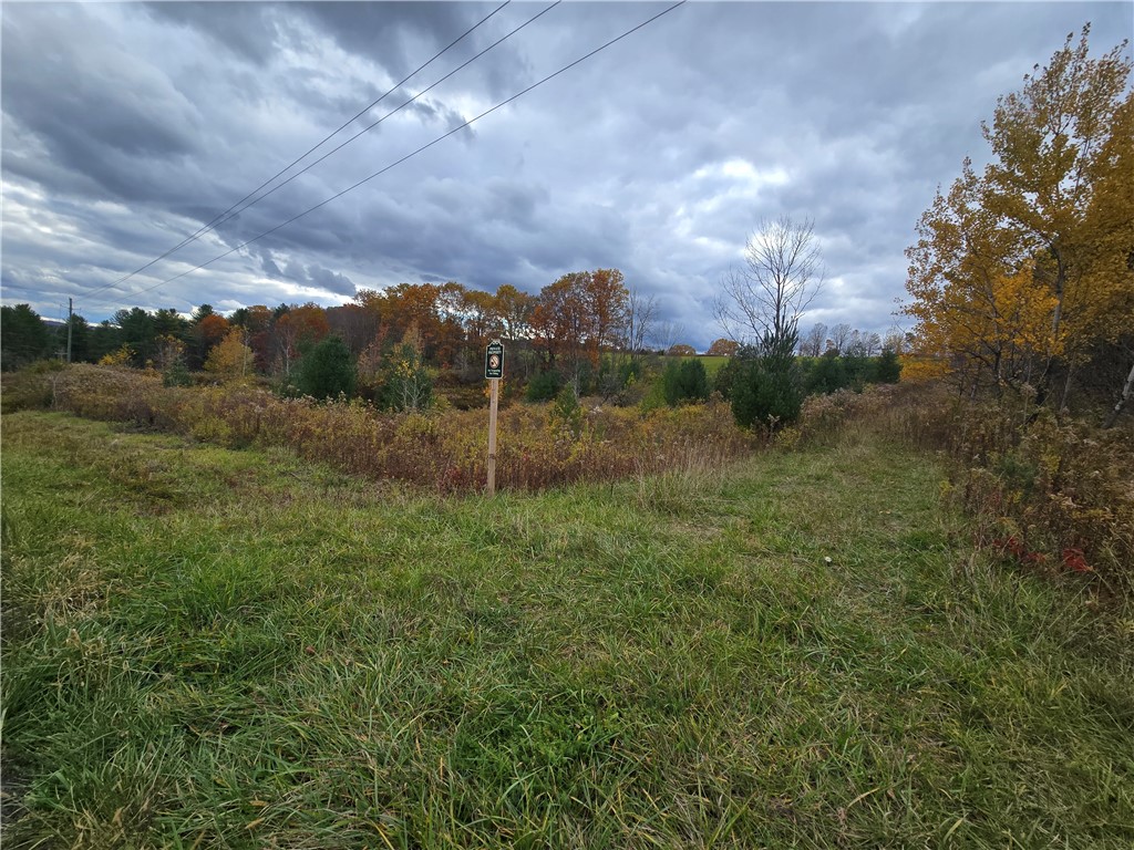 Hardknocks Road Unadilla, NY 13849 - Photo 9 of 16