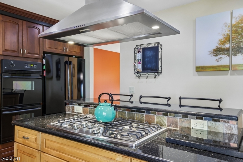 43 Misty Mountain Road Randolph, NJ 07869 - Photo 19 of 37
