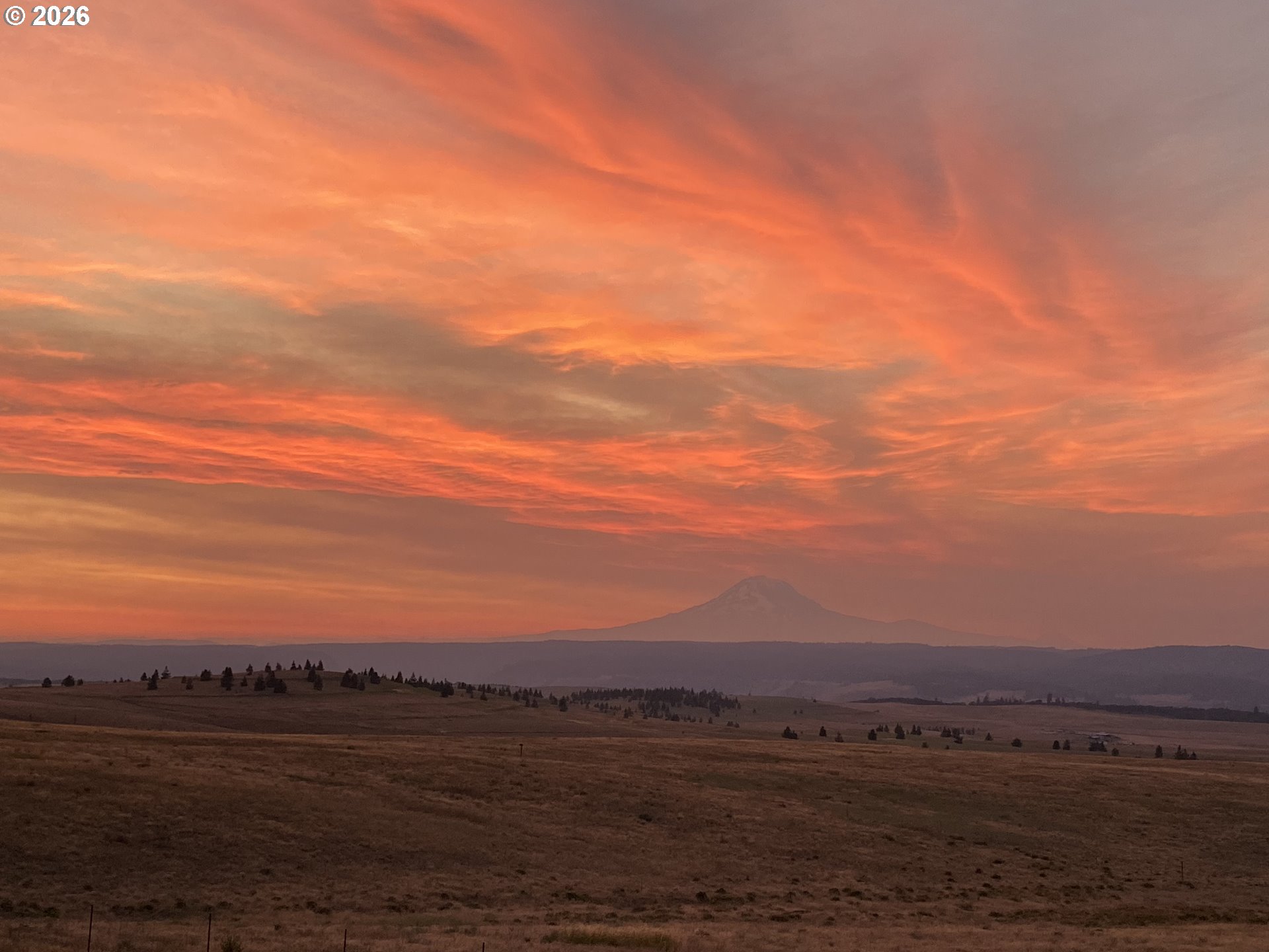 412 Schilling Road Lyle, WA 98635 - Photo 48 of 48