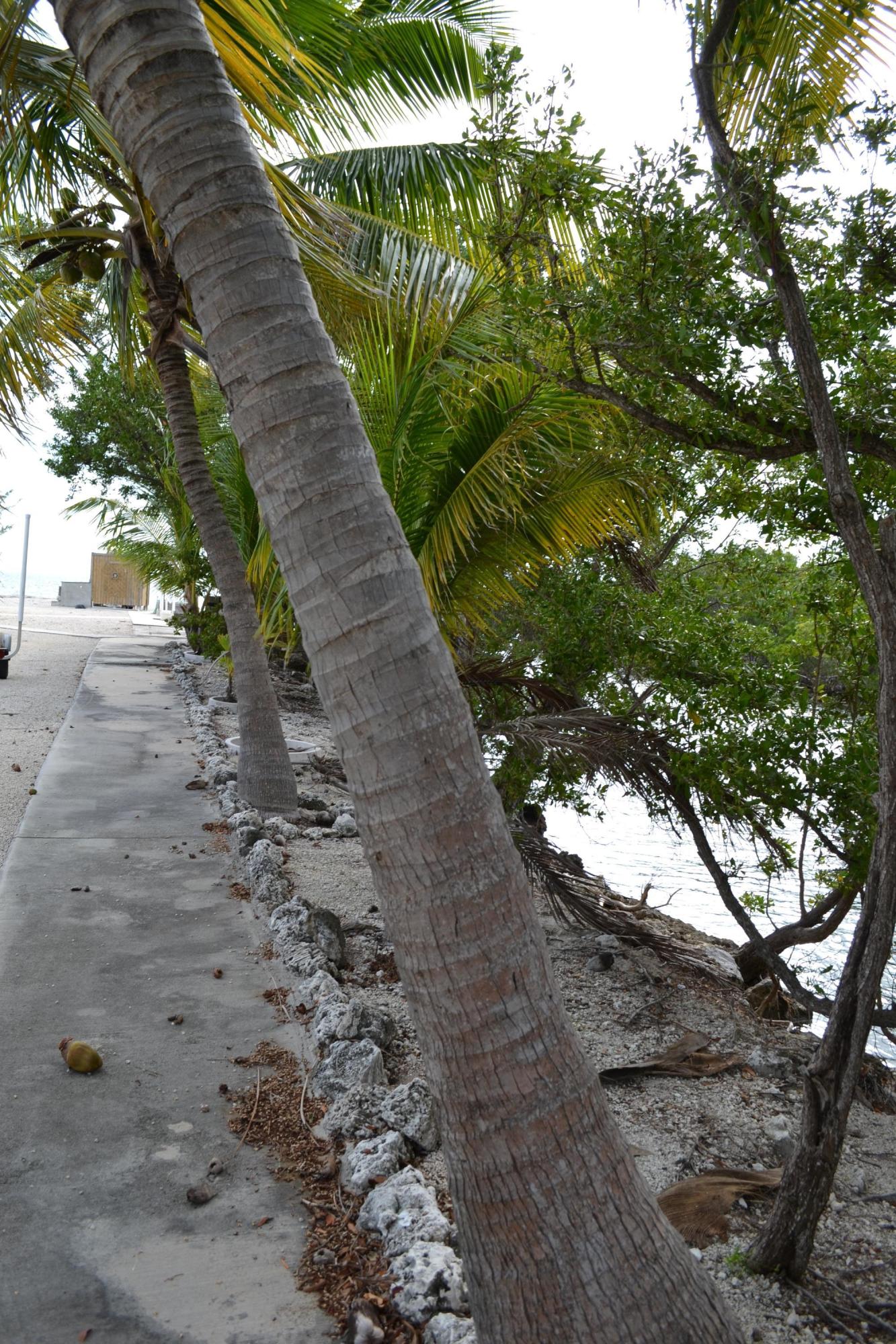 30 East Beach Road Tavernier, FL 33070 - Photo 23 of 26 Landscaped Seawall...