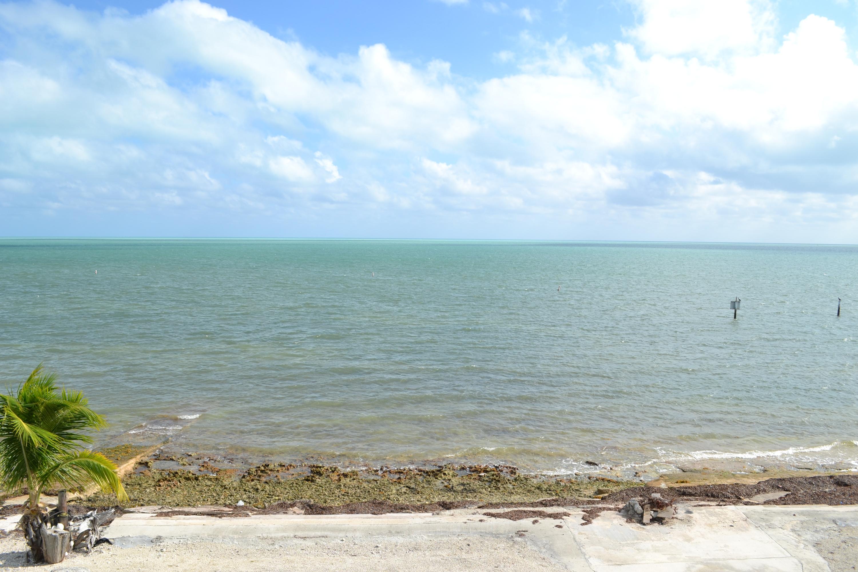 30 East Beach Road Tavernier, FL 33070 - Photo 9 of 26 View from Roof Top Deck