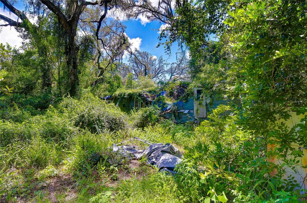 3801 Pate Road Zephyrhills, FL 33541 - Photo 55 of 63 Gallery Image 55