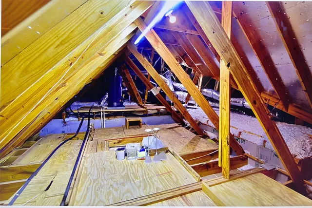 a house with trees in front of it