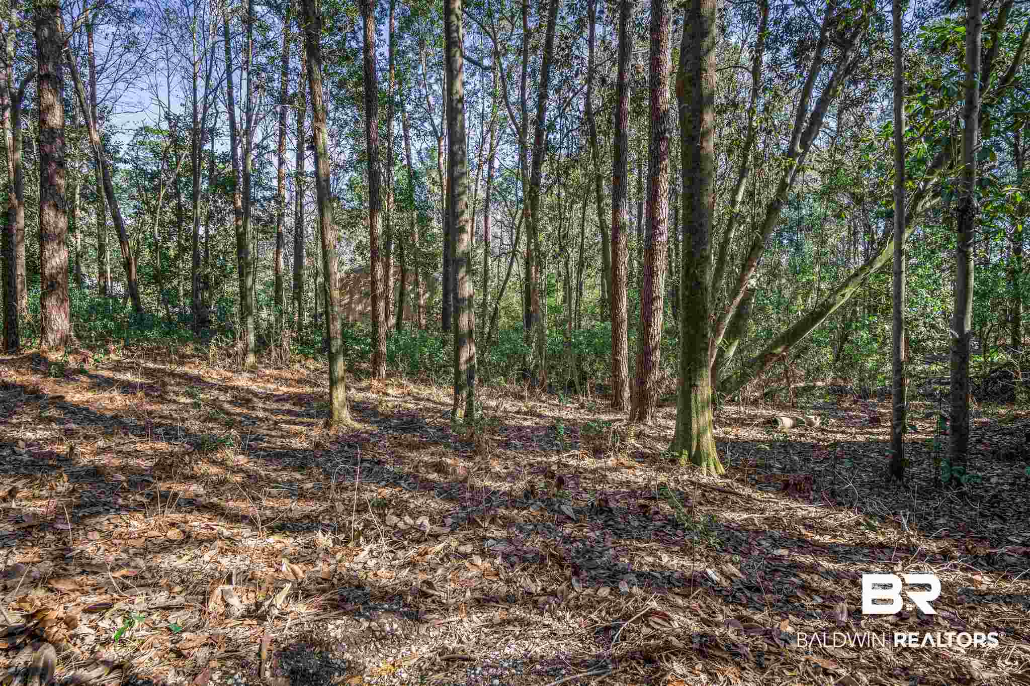4371 Hoffman Road Mobile, AL 36619 - Photo 29 of 36