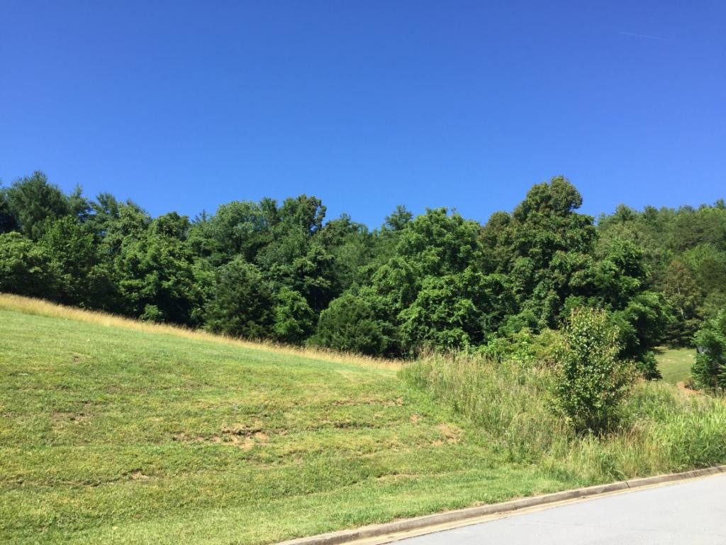 CLEARED AND TREES TOO