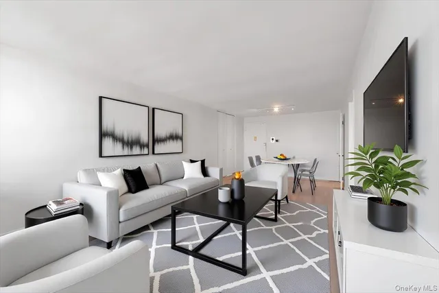 a living room with furniture flowerpot and a potted plant