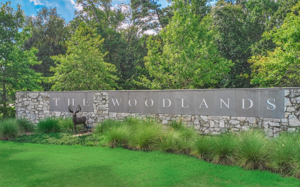 6 Windsor Bridge Drive Conroe, TX 77384 - Photo 40 of 46 Come home to enjoy life immediately adjacent to the award winning master planned community of The Woodlands , Texas!