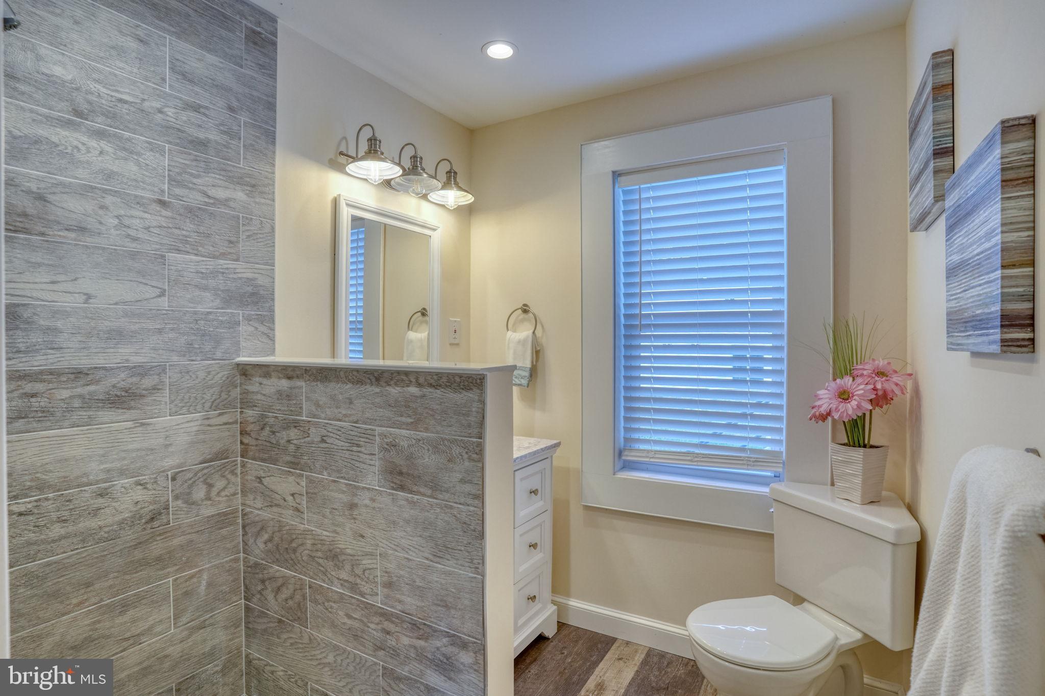 14161 Union Street Milton, DE 19968 - Photo 16 of 28 MIAN LEAVEL FULL BATHROOM