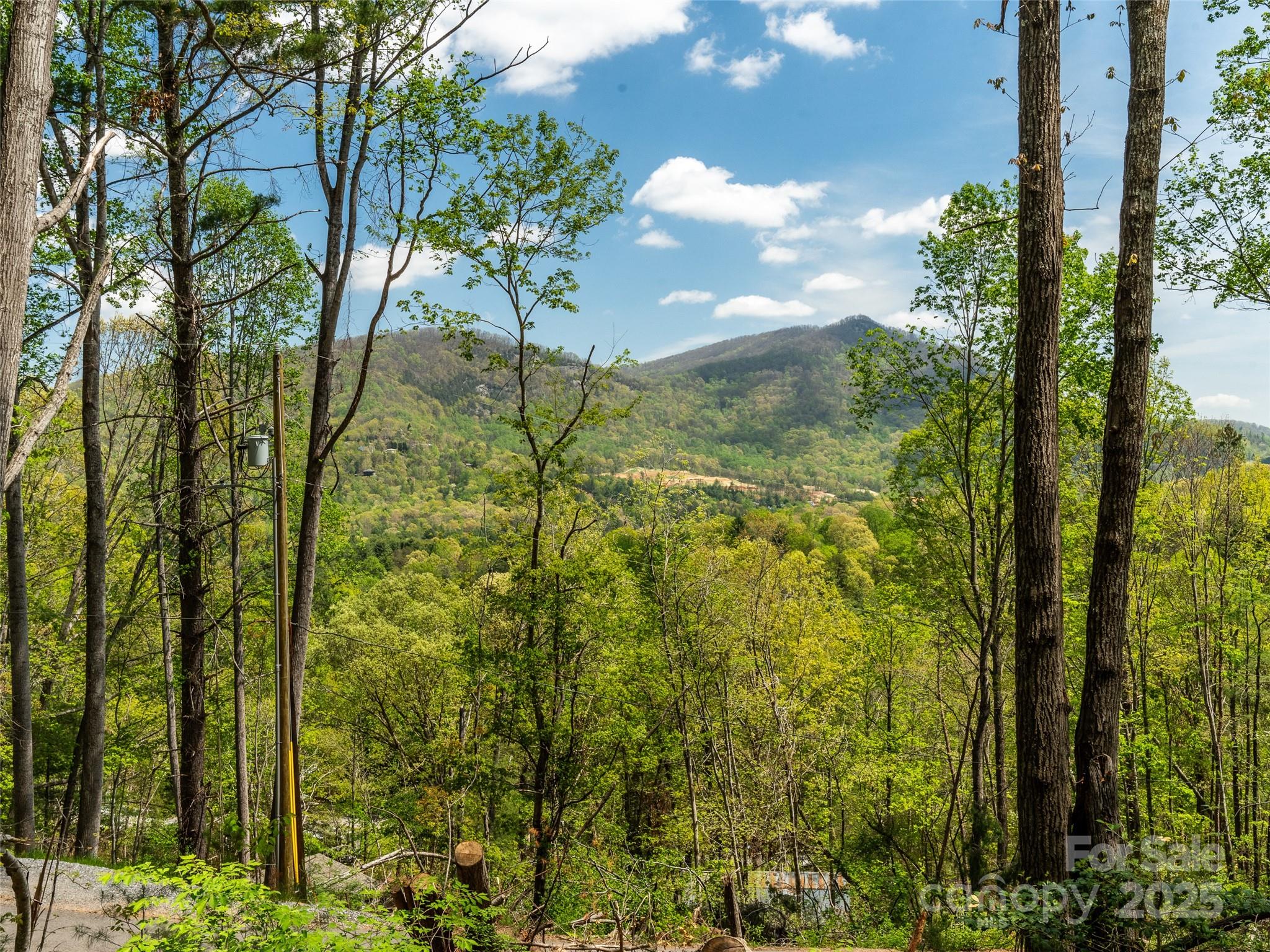 66 Avondale Heights Road Asheville, NC 28803 - Photo 20 of 38