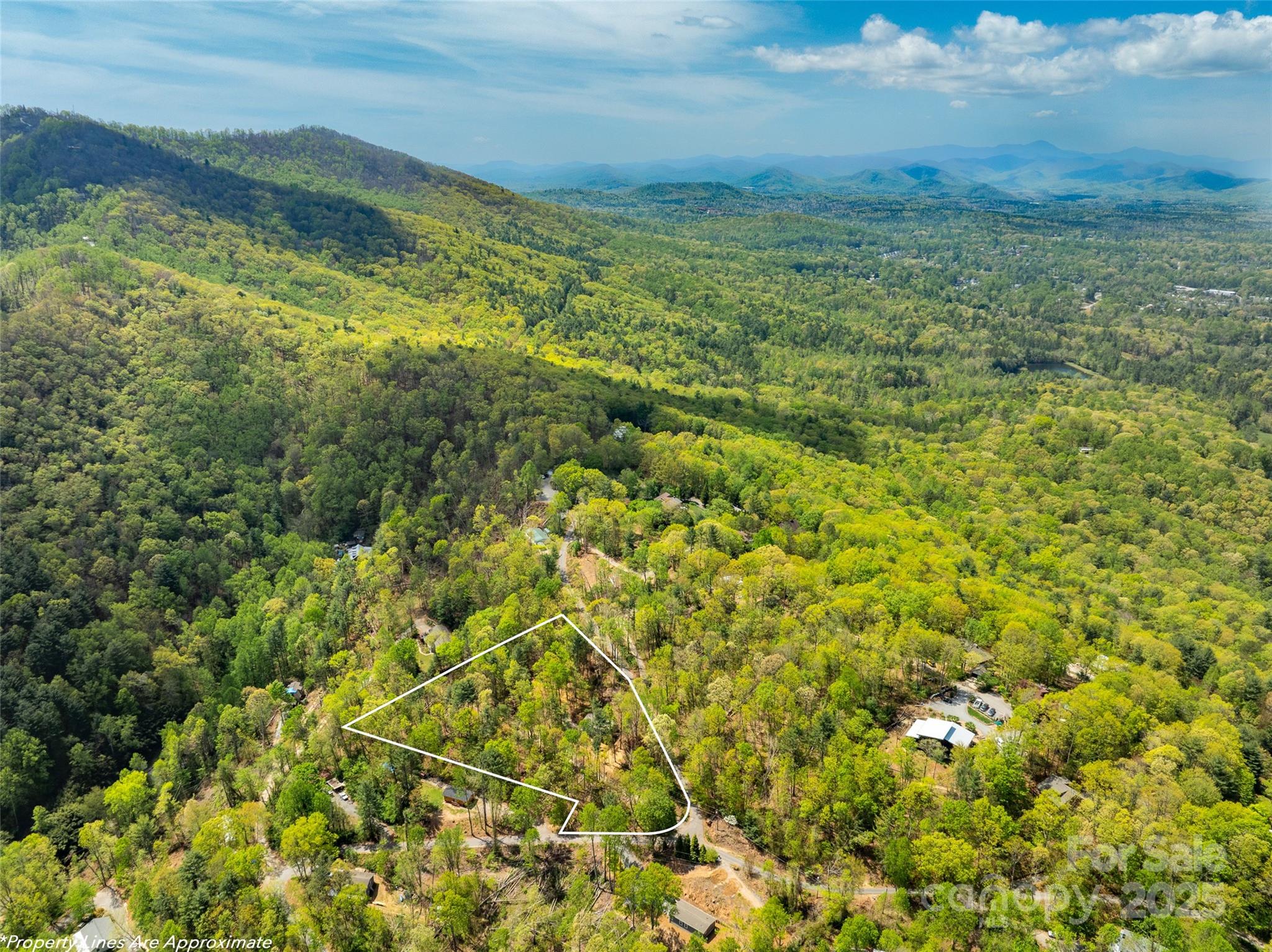 66 Avondale Heights Road Asheville, NC 28803 - Photo 21 of 38