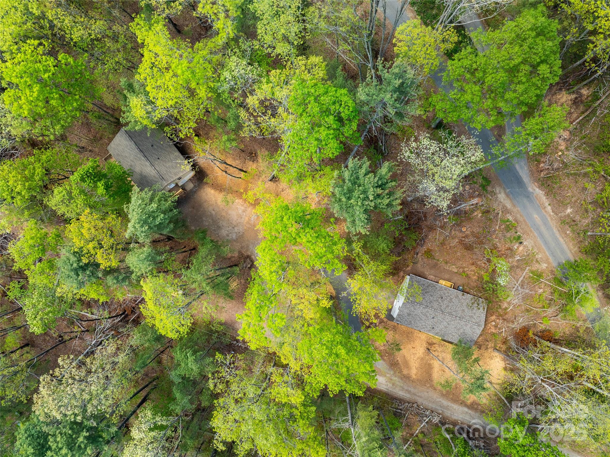 66 Avondale Heights Road Asheville, NC 28803 - Photo 22 of 38