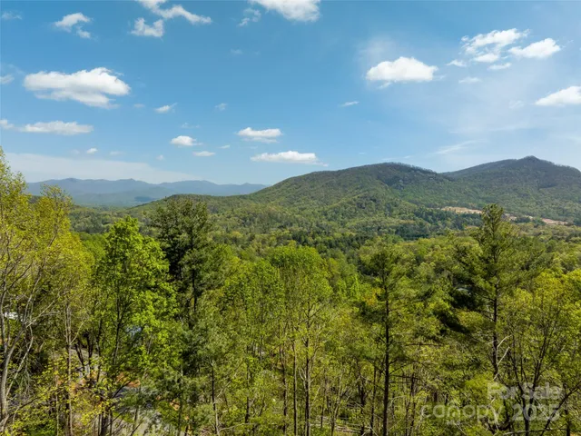 $650,000 | 66 Avondale Heights Road, Asheville, NC 28803