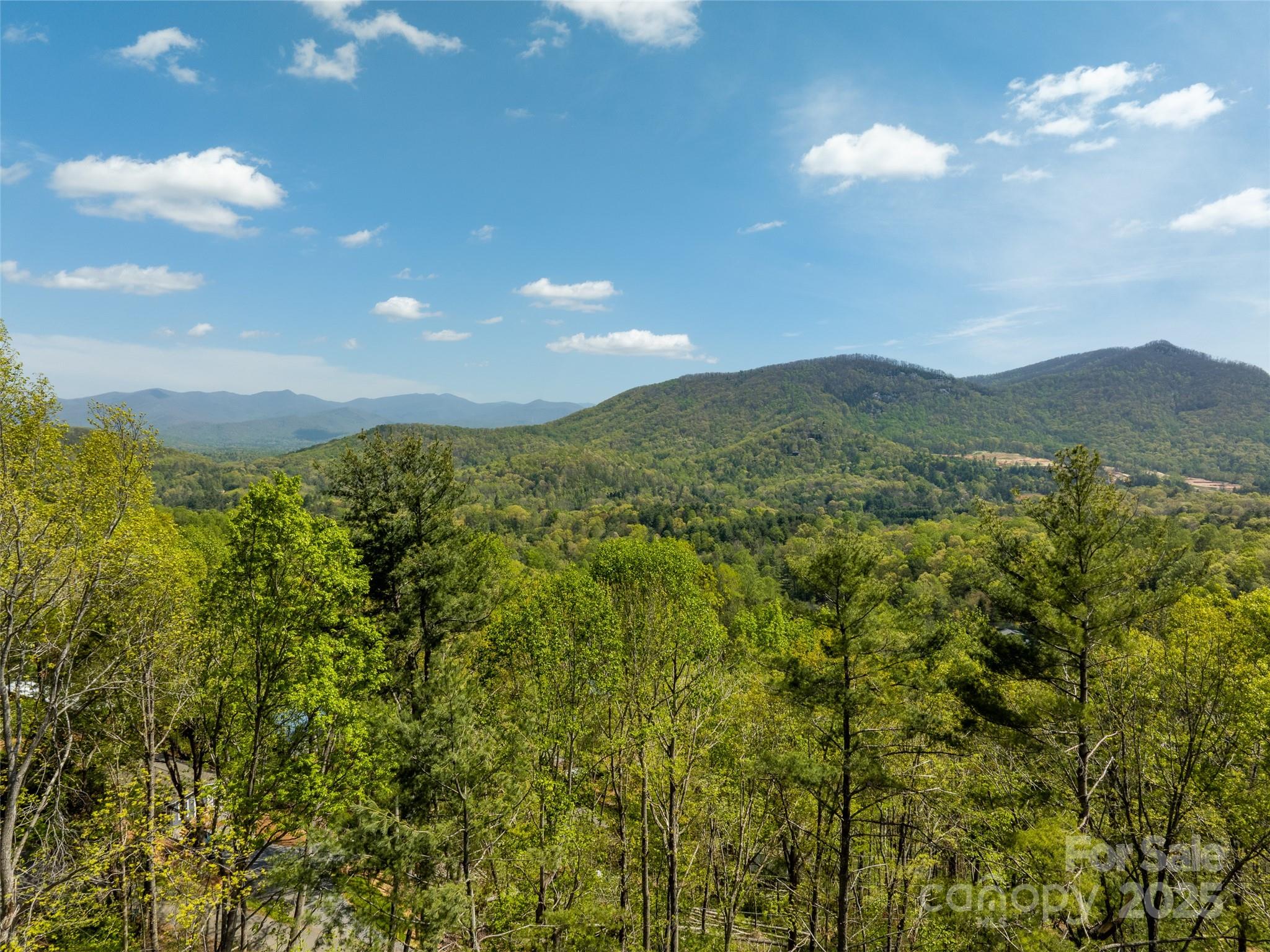 66 Avondale Heights Road Asheville, NC 28803 - Photo 23 of 38