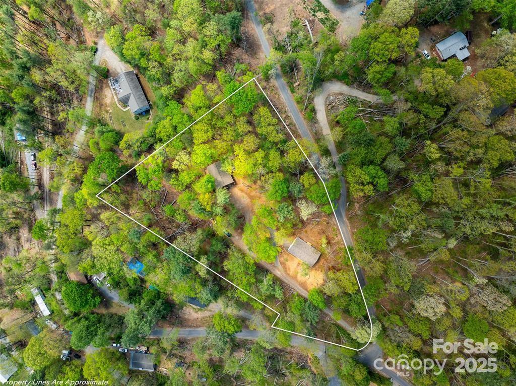 66 Avondale Heights Road Asheville, NC 28803 - Photo 4 of 38