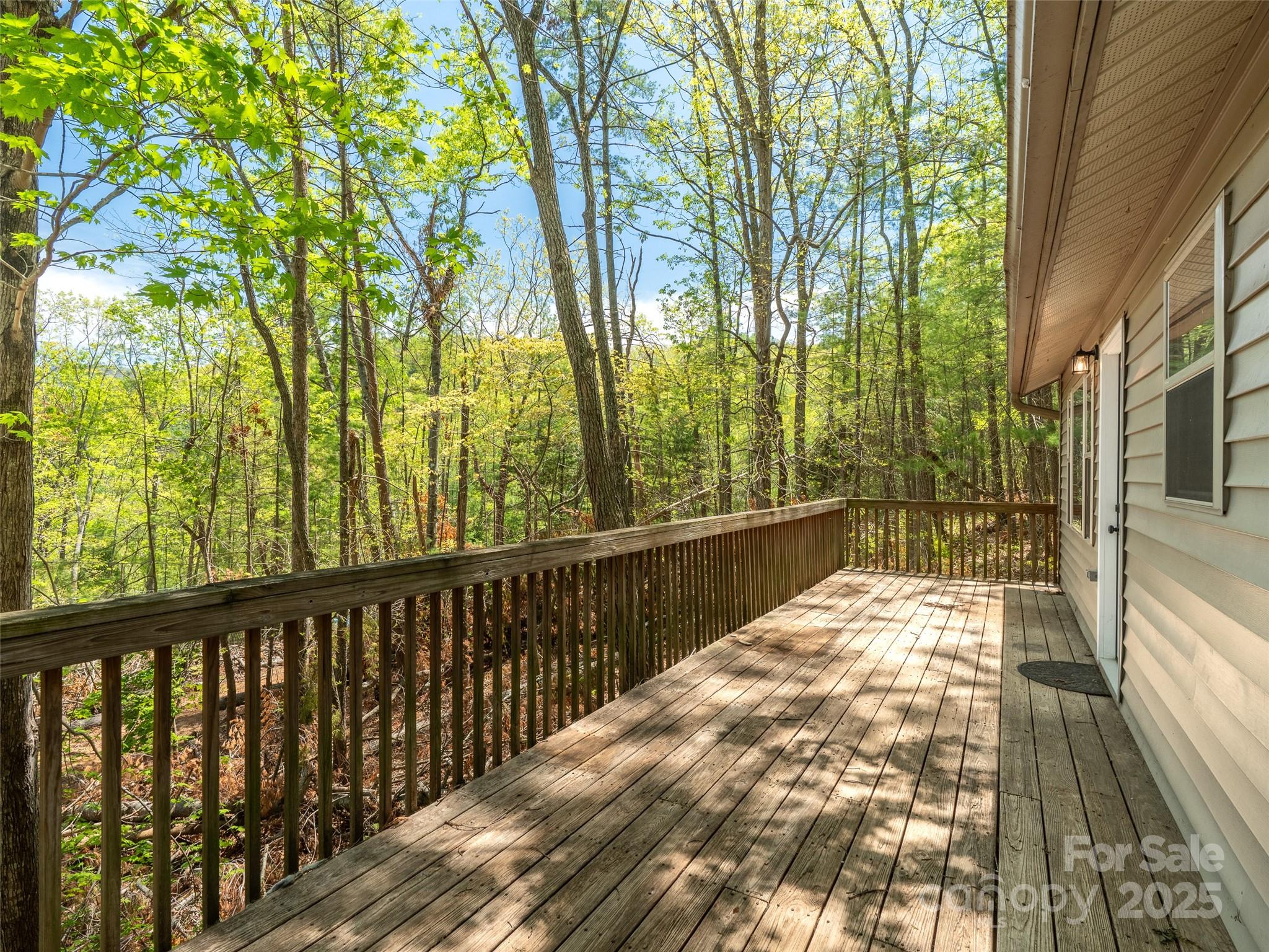 66 Avondale Heights Road Asheville, NC 28803 - Photo 5 of 38